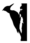 Woodpecker Silhouette Decal Sticker